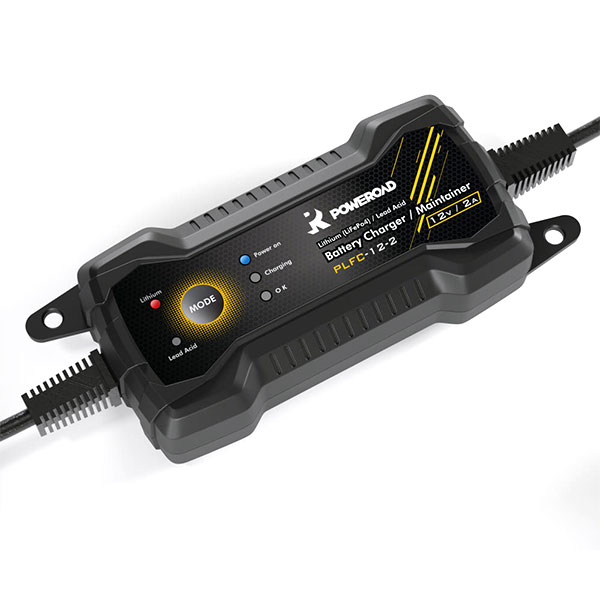 Daisy on the Ohoopee